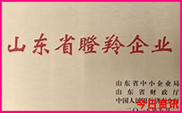 暑假去哪里玩最合适